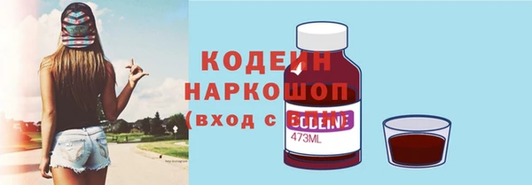 молекула духа Алапаевск