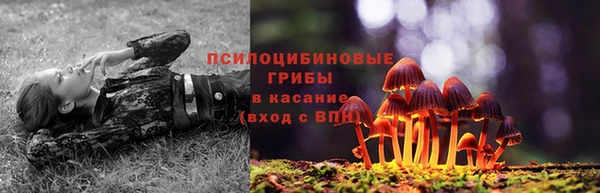 бошки Михайлов